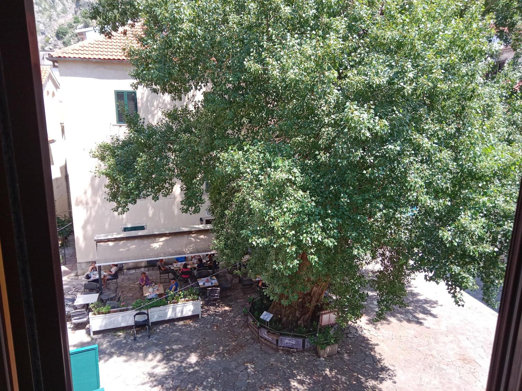 Centar Starog Grada Apartment Котор Екстериор снимка